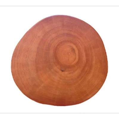 Tree-Ring Panel (No Rim), Medium (Diameter approx. 350mm)