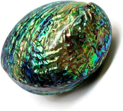 Kinsai Raden Hair Clip / New Zealand Abalone