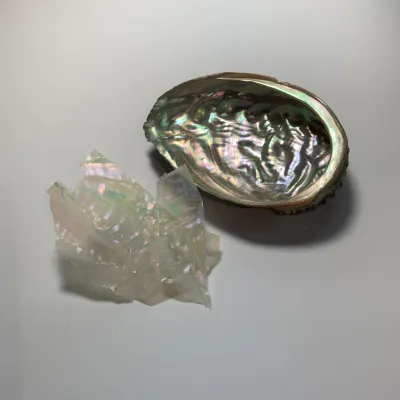 Kinsai Raden Tie Pin / Genuine Abalone