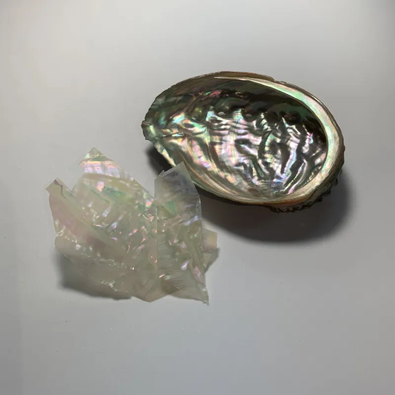 Kinsai Raden Tie Pin / Genuine Abalone