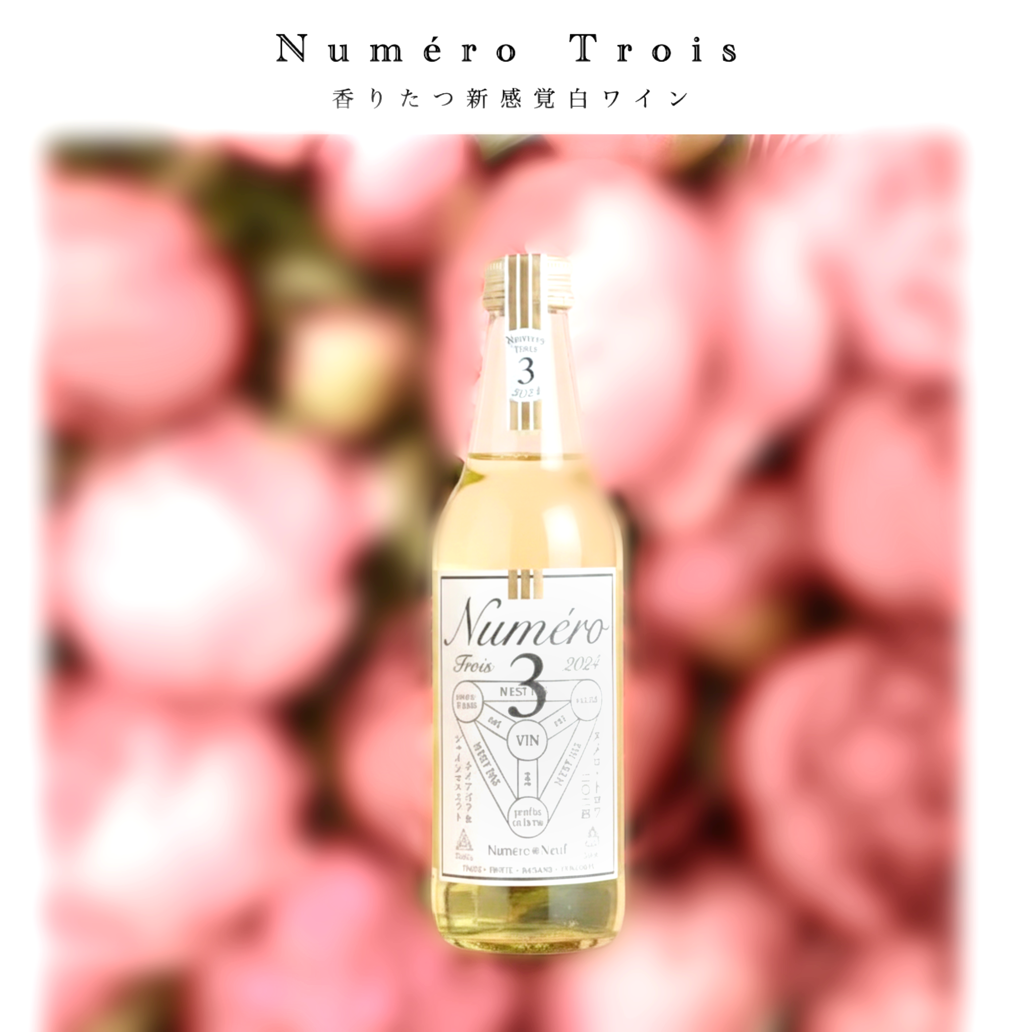 New Numéro Trois（ヌメロトロワ）2024