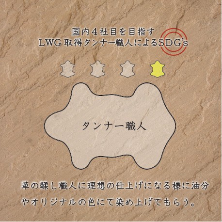 Compact Wallet　パープル